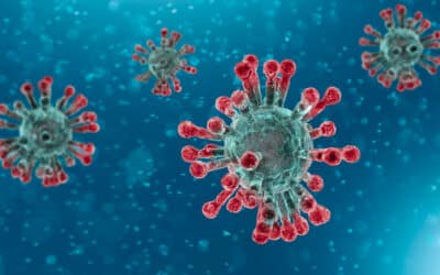 How To Prevent The Transmission of Coronavirus