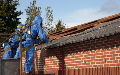 The Long-Term Health Effects of Asbestos Exposure