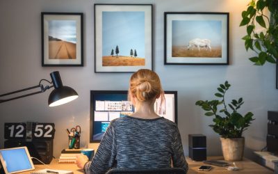 The Ultimate Guide to Working from Home: Skills, Training, and Best Practices